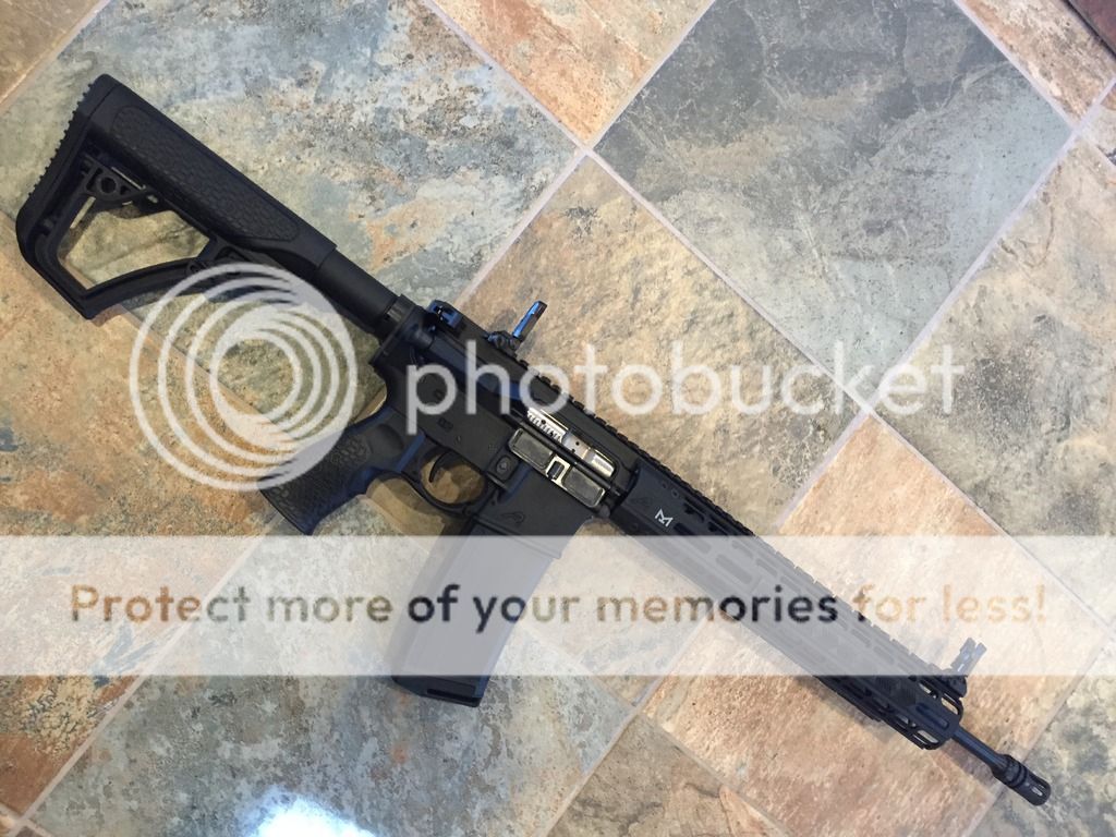 First AR, first build!